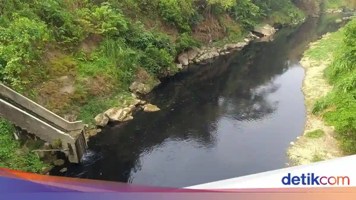 Pemkab Bogor Telusuri Saluran yang Diduga Menghitamkan Sungai Cileungsi