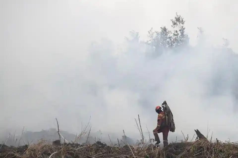 Kebakaran Lahan Sumatra dan Jejak Konsesi yang Menjadi Sorotan