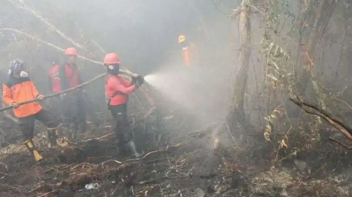 BPBD Bali Pastikan Asap Karhutla Belum Mencapai Pulau Dewata