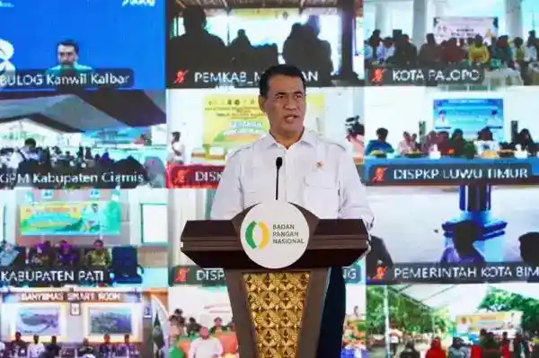 Cadangan Beras Pemerintah Menguat di Tengah Ancaman El Nino