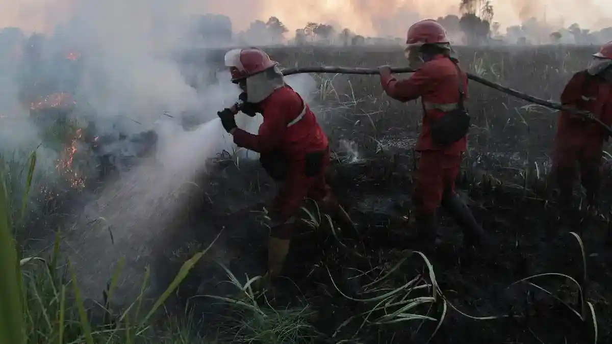 Penanganan Karhutla Diperkuat: Personel Gabungan, Bantuan Daerah, dan Rencana Kolaborasi Kampus