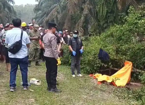 Penemuan Jenazah di Kebun Sawit Asahan, Polisi Temukan Luka Tusuk