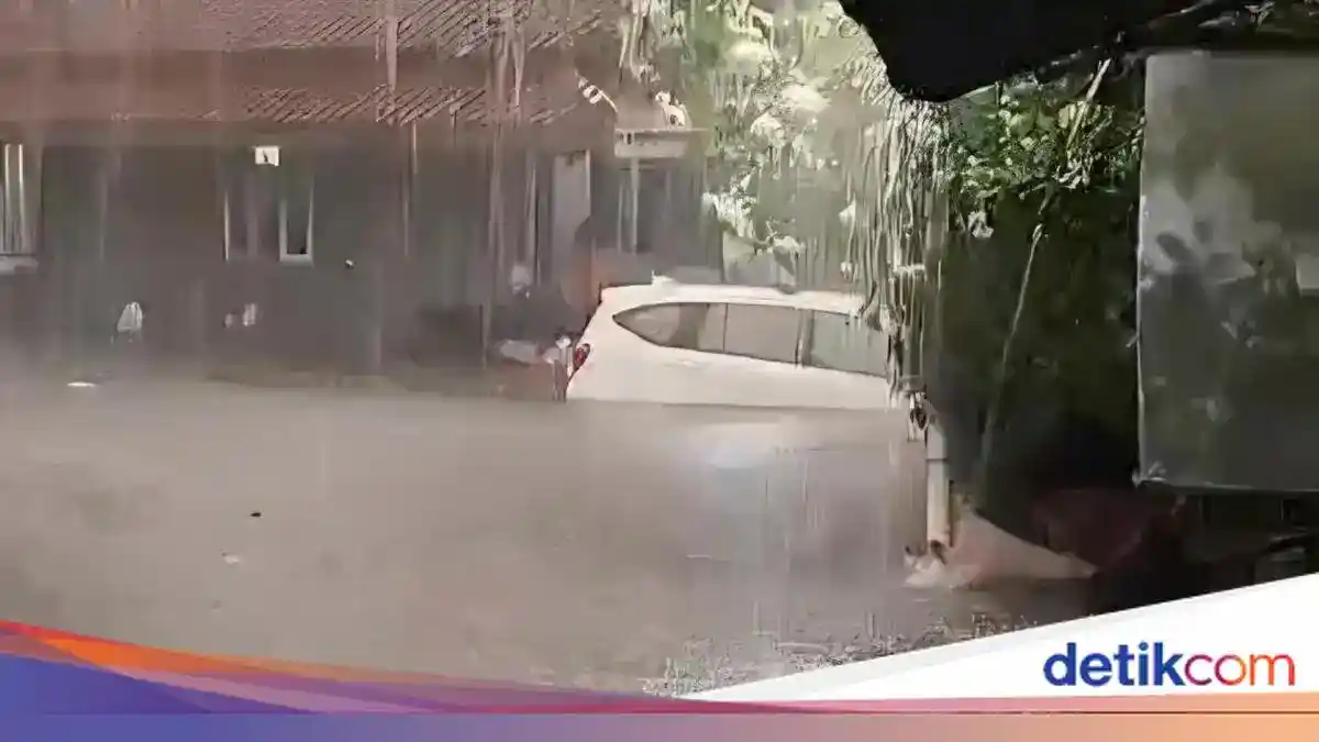 Dampak Hujan Deras di Bogor: Genangan Sempat Muncul, Pohon Tumbang, dan Bangunan Roboh