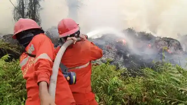 BNPB Catat 1.007 Kejadian Karhutla, Ribuan Hektare Masih Ditangani