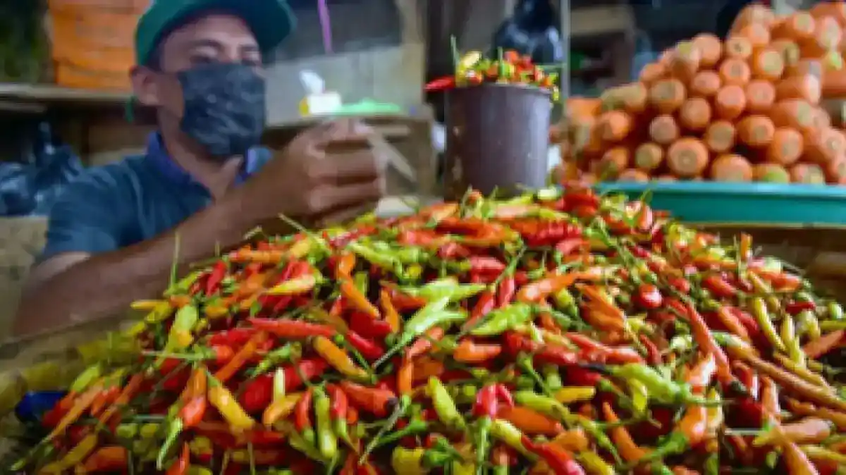 Peta Harga Pangan Nasional: Cabai Rawit Merah Rp105.750 per Kilogram