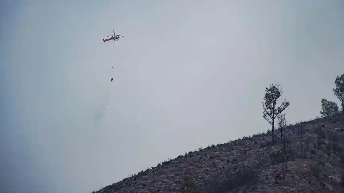 BNPB Kerahkan Dukungan Udara dari Kalimantan untuk Tangani Karhutla di Jawa Timur