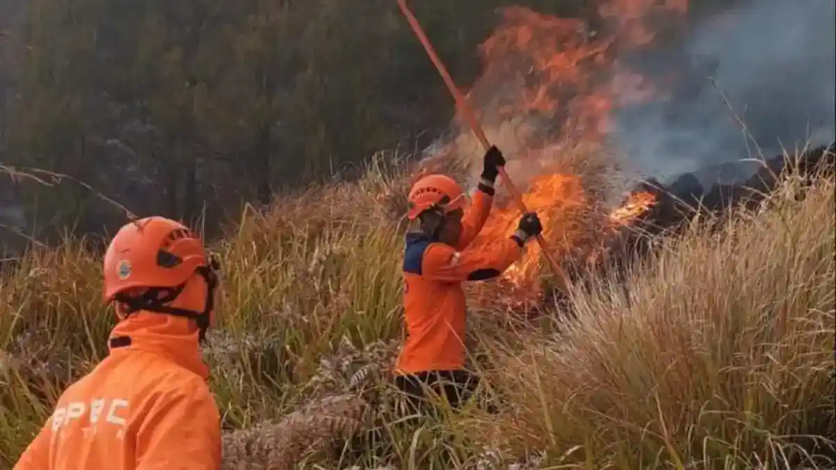 Korban Jiwa Kebakaran di Bromo Bertambah Menjadi Enam Setelah Petugas Keamanan Meninggal