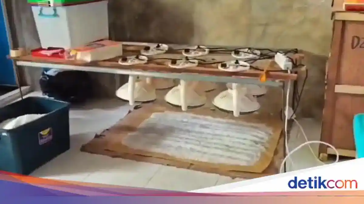 Pengungkapan Lab Narkoba di Pidie dan Penyelundupan Ketamin di Belawan