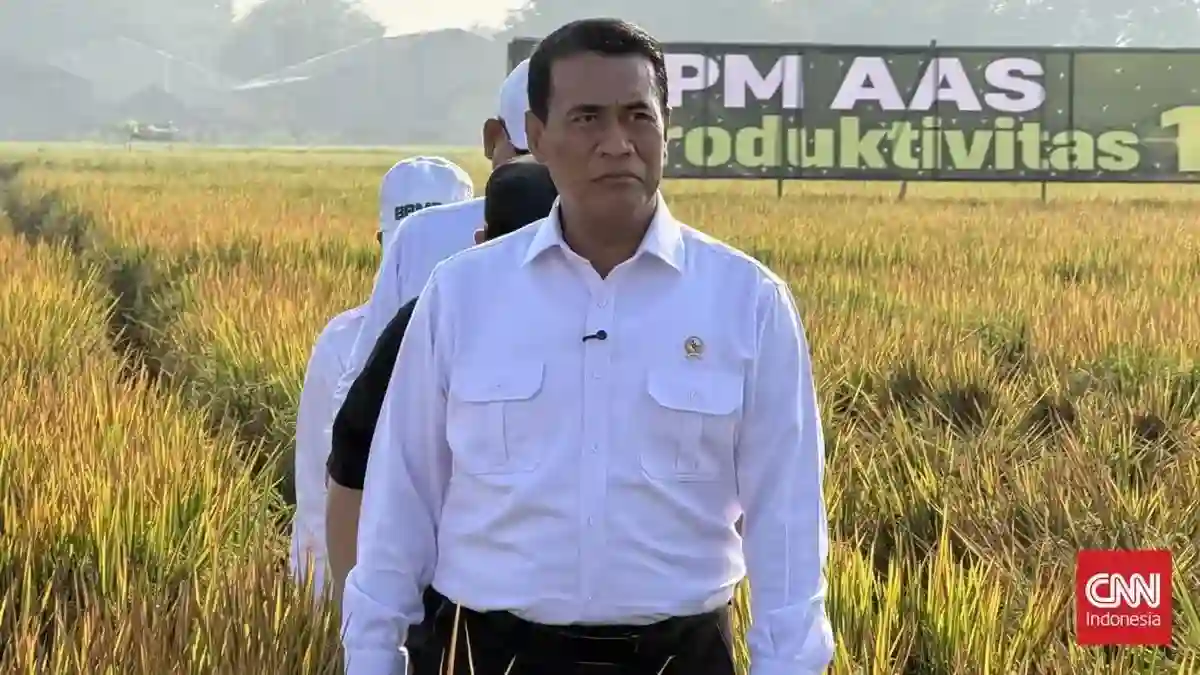 Ketimpangan Harga Pangan dan Tantangan Membenahi Distribusi di Indonesia