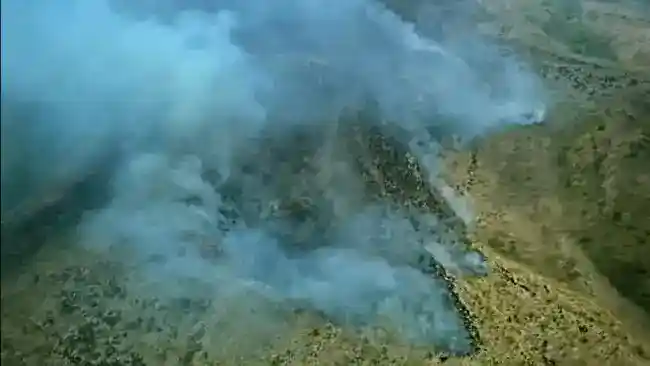 Karhutla Menjangkau Pegunungan di Jawa, BNPB Catat Empat Gunung Terbakar di Jatim
