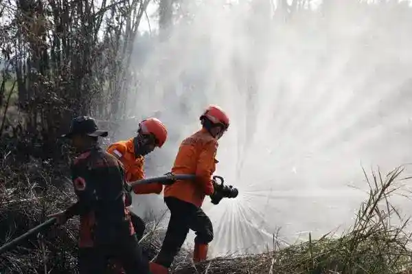 Penanganan Karhutla Diperkuat, 71.878 Personel Dikerahkan di Enam Provinsi