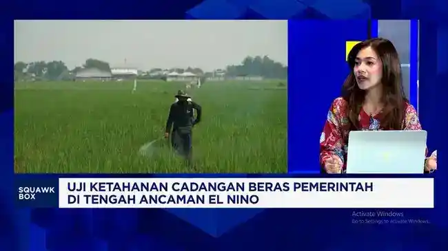 Cadangan Beras Pemerintah Capai 4,8 Juta Ton, Produksi Petani Jadi Penopang