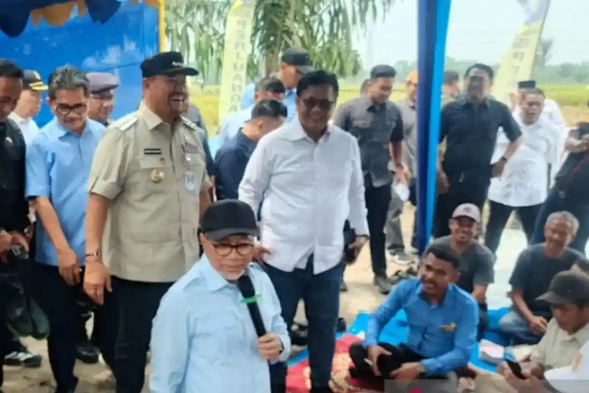 Panen Raya di Batu Bara Jadi Momentum Paparkan Strategi Ketahanan Pangan