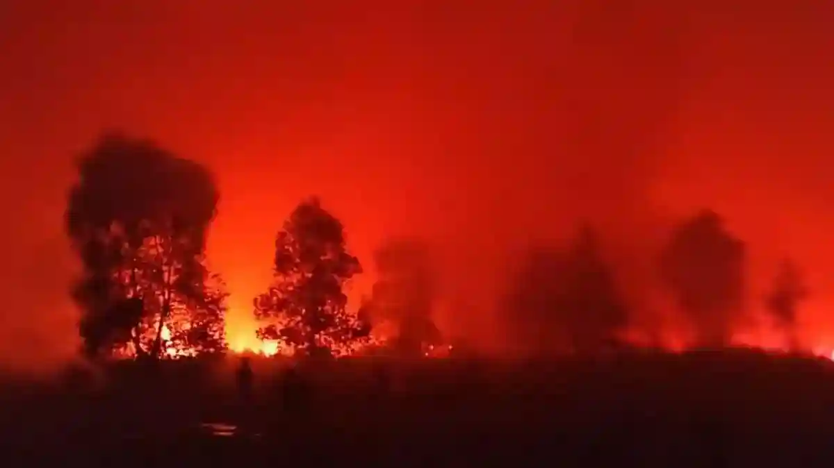 Kebakaran Landa Jalur Satwa di Perbatasan TN Way Kambas