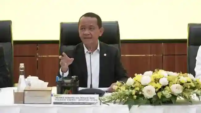 Rencana PLTN di Kepri Masuk Kajian, Pemerintah Siapkan Target 2032–2034