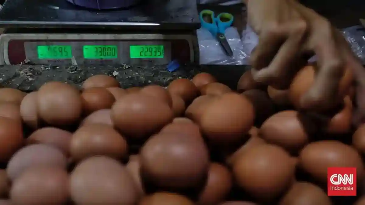 Harga Telur Tak Seimbang, Pemerintah Siapkan Penyerapan dan Pengolahan