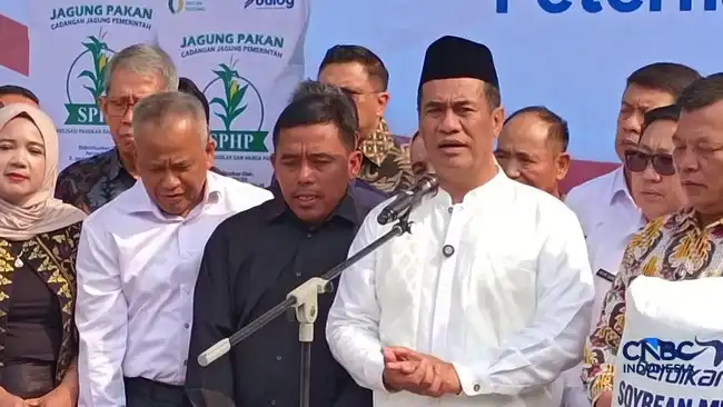 Benih Jagung Gratis untuk 20.000 Hektare, Pemerintah Siapkan Skema Pasokan bagi Peternak