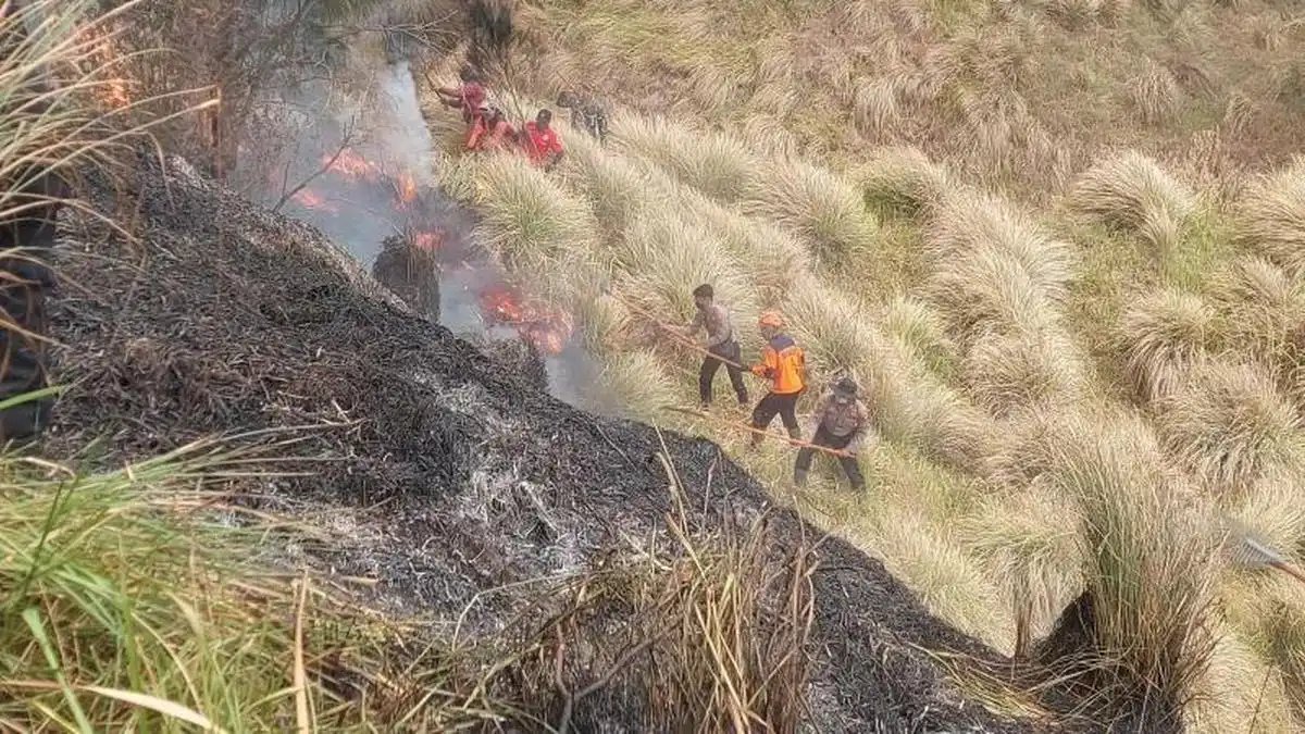 Tiga Orang Tewas Saat Pemadaman Karhutla di Bromo
