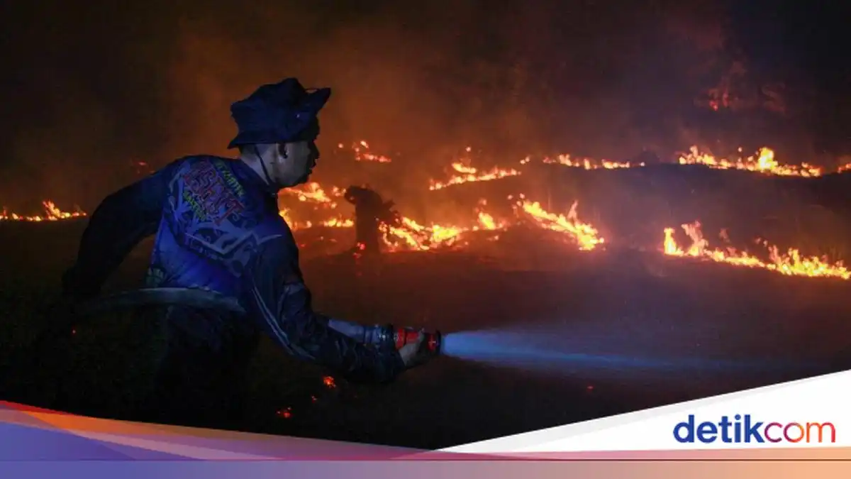 Lonjakan Hotspot Karhutla: Kalteng Catat 389 Titik, Empat Orang Tewas di Bromo