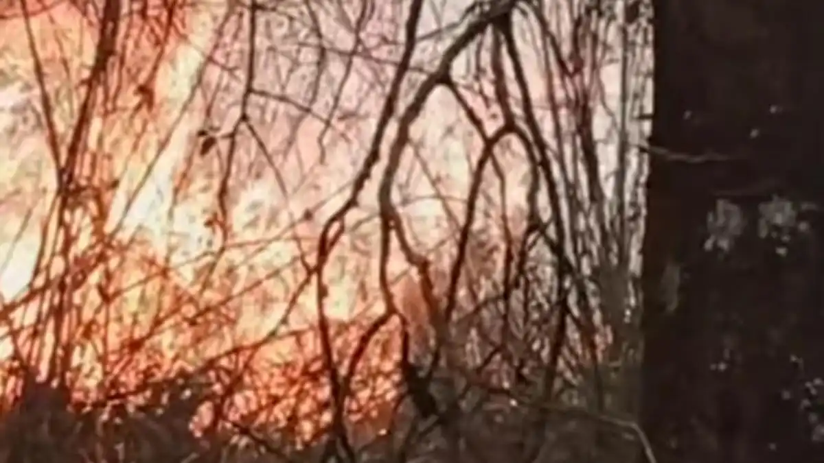 Kebakaran Hutan di Gondosuli Meluas, Pemadaman Lereng Lawu Terkendala Angin