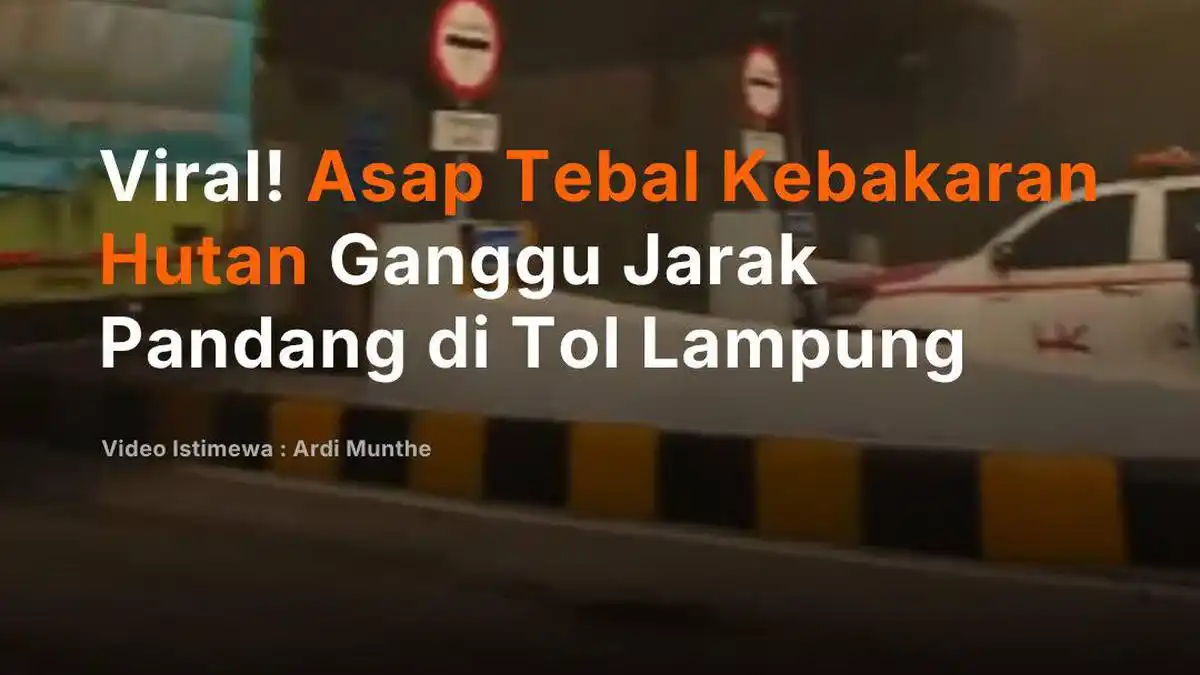 Asap Kebakaran Lahan Ganggu Pandangan Pengendara di Tol Terpeka Lampung