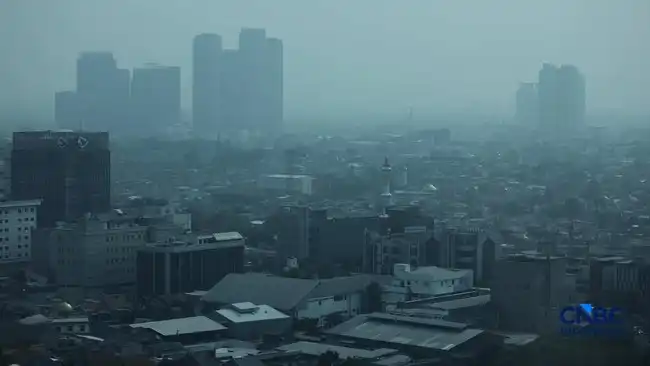 Mengapa Asap Karhutla Kalimantan Terdeteksi di Jakarta? Ini Penjelasan Meteorologisnya