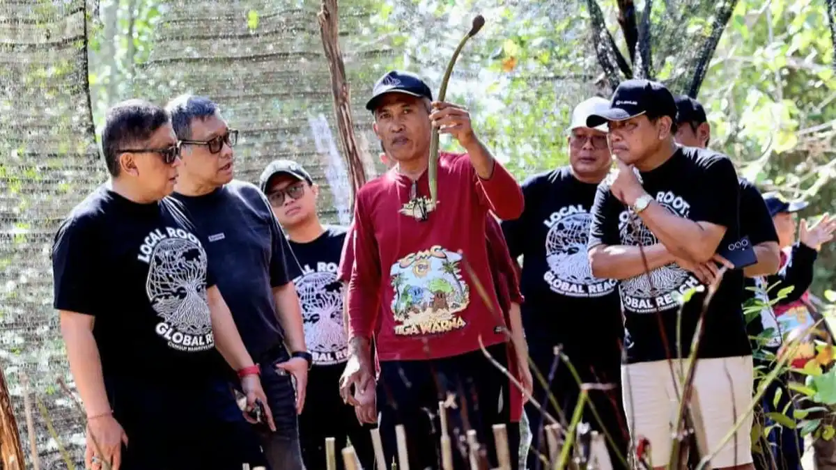 Hasto Kristiyanto Tanam Mangrove di Malang dan Tekankan Perlindungan Pesisir
