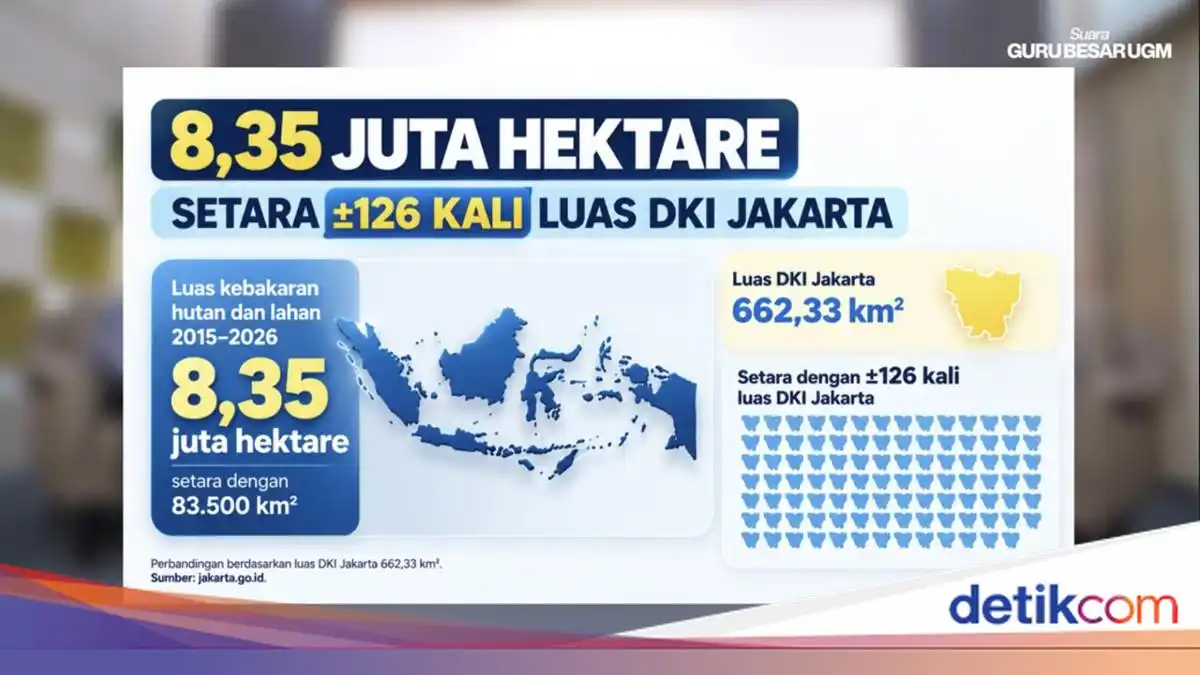 Karhutla Indonesia Membakar 8,35 Juta Hektare dalam 12 Tahun