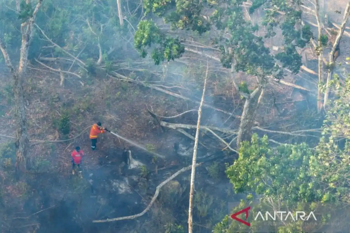 Karhutla Terus Berulang, Pencegahan dan Pengelolaan Gambut Jadi Sorotan