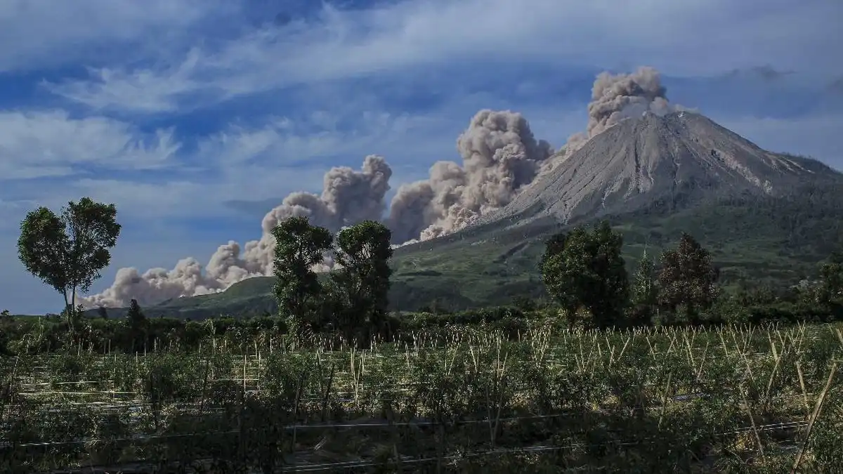 Status Sinabung Turun ke Level Radius Bahaya Tetap Berlaku