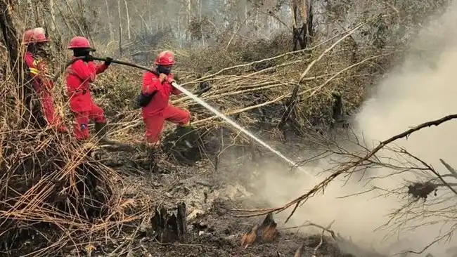Penyelidikan Karhutla di Kalimantan Utara, Kencana Agri Sampaikan Sikap
