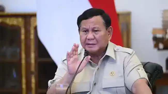 Prabowo Bahas Penanganan Karhutla Bersama Dudung dan Tito di Istana