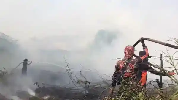 Api Gambut Kembali Membesar di Sampit, Pemadaman Terkendala Asap dan Lalu Lintas