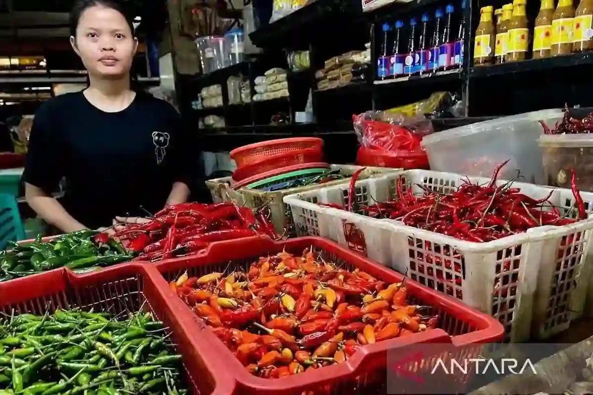 PIHPS: Cabai Rawit Merah Rp102.250 per Kilogram, Telur Ayam Rp28.400