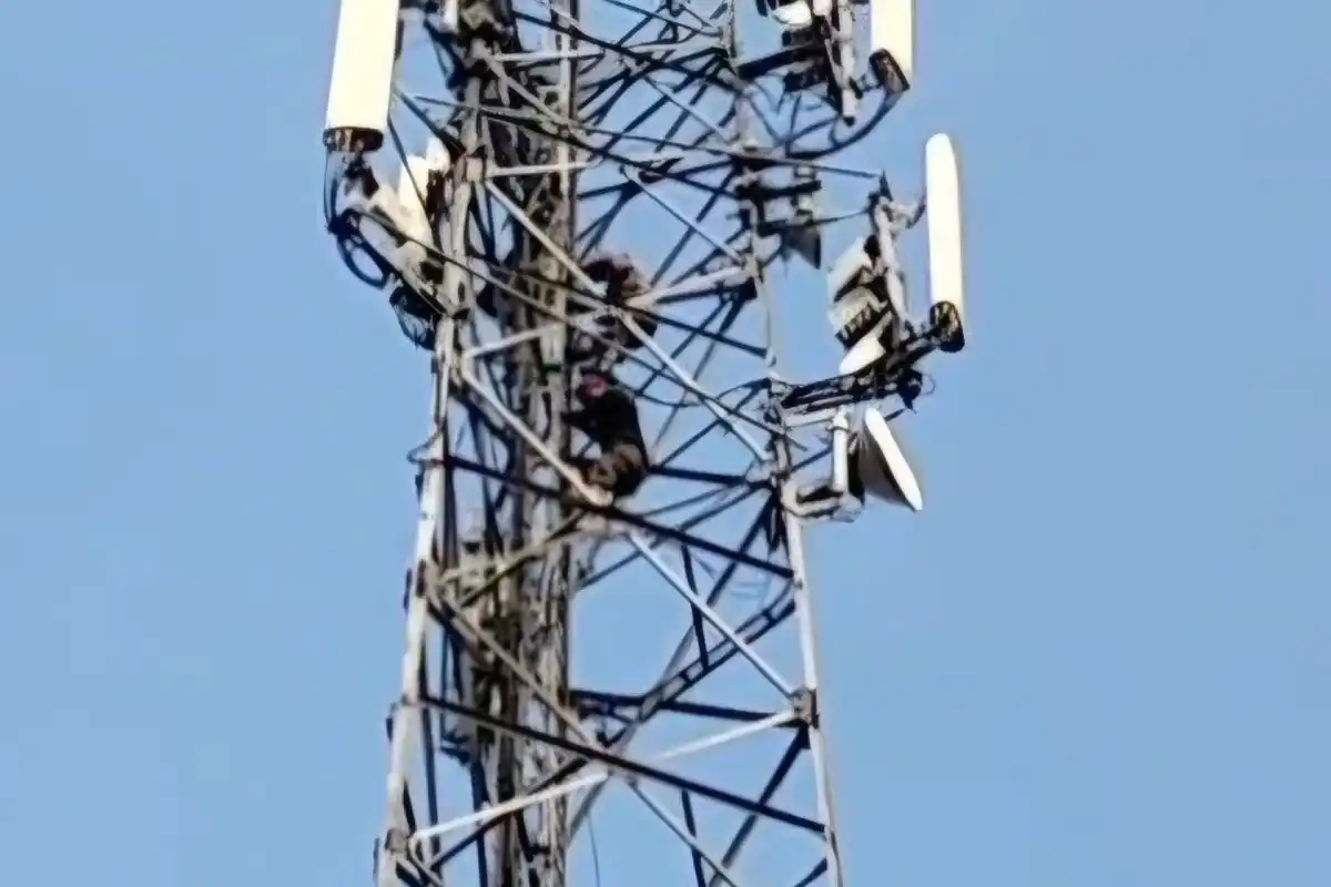 Dua Terduga Pencurian Kabel Menara Seluler Diamankan di Cicalengka