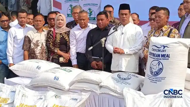 Pemerintah Siapkan Pengalihan Impor Bungkil Kedelai ke BUMN untuk Stabilkan Pakan Peternak