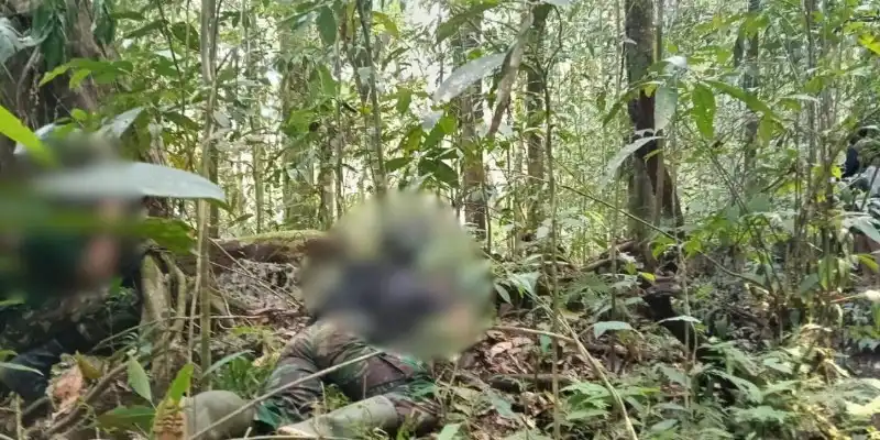 Kontak Tembak di Maybrat Berujung pada Tewasnya Tiga Anggota OPM Kontak Tembak di Maybrat Berujung pada Tewasnya Tiga Anggota OPM