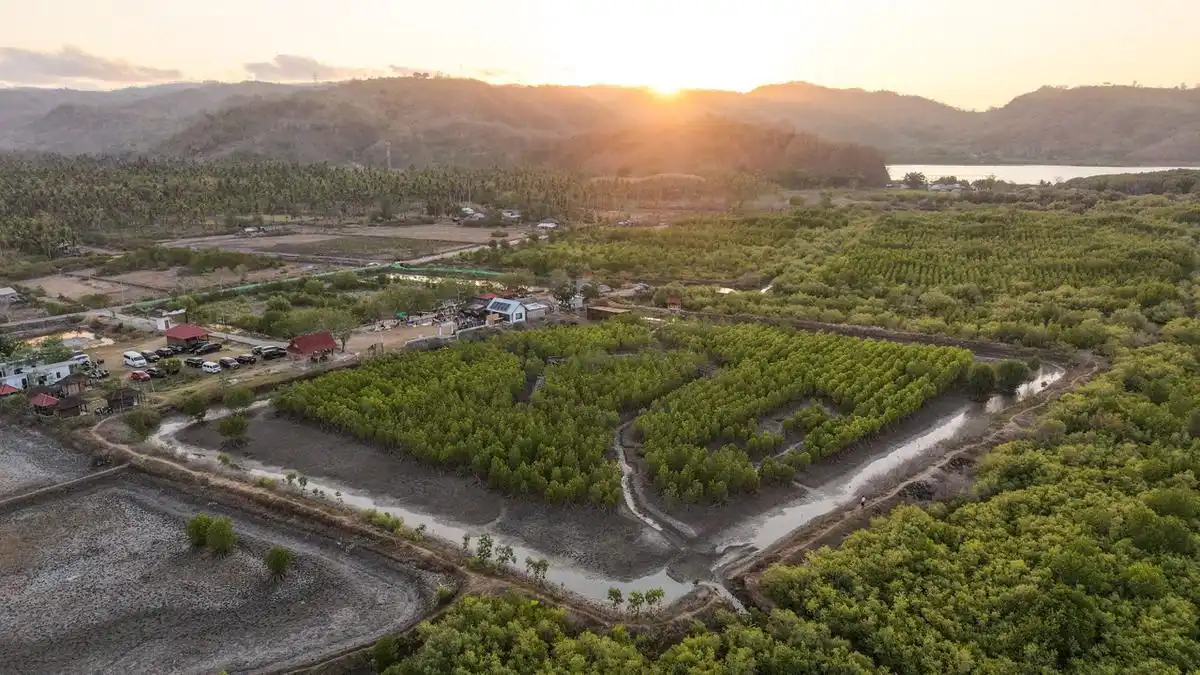 Memberdayakan Pesisir NTB lewat Sekolah Alam Berbasis Mangrove Memberdayakan Pesisir NTB lewat Sekolah Alam Berbasis Mangrove