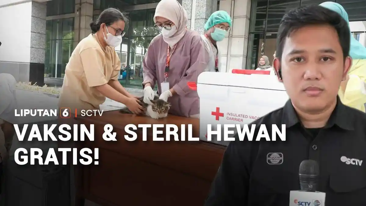 Layanan Vaksinasi dan Sterilisasi Hewan Gratis Digelar di Jakarta Timur