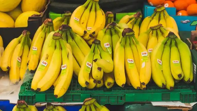 Ancaman TR4 terhadap Masa Depan Pisang dan Kaitannya dengan Indonesia