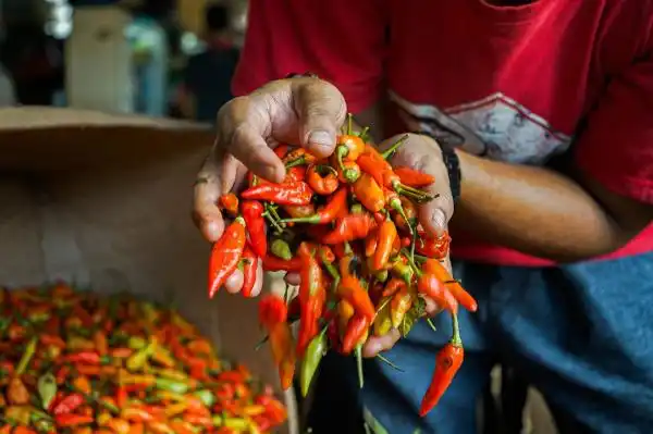 Harga Sejumlah Bahan Pangan Naik pada Awal Pekan, Cabai Rawit Merah Capai Rp132.850 per Kilogram