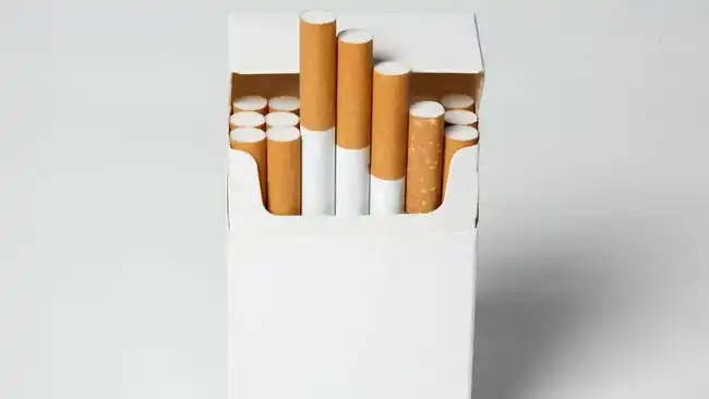 Produksi Rokok Indonesia Tembus 27,2 Miliar Batang pada September 2026 Produksi Rokok Indonesia Tembus 27,2 Miliar Batang pada September 2026