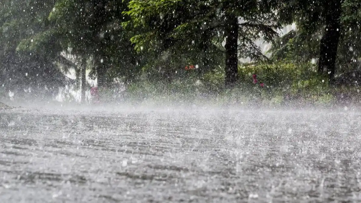 Banjir Melanda Langkat dan Binjai Setelah Hujan Lebat Disertai Angin Kencang Banjir Melanda Langkat dan Binjai Setelah Hujan Lebat Disertai Angin Kencang