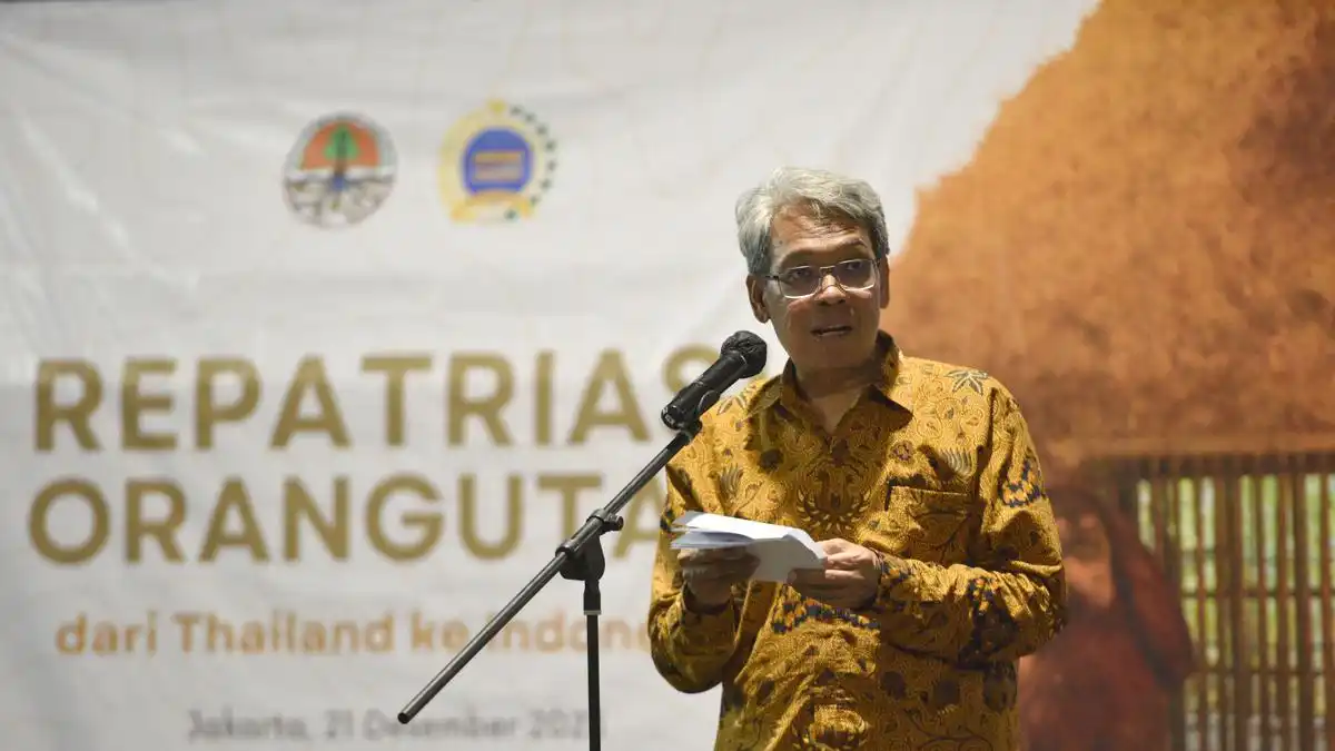 Satyawan Pudyatmoko Dipilih Memimpin Badan Pengelolaan Gambut dan Mangrove Nasional Satyawan Pudyatmoko Dipilih Memimpin Badan Pengelolaan Gambut dan Mangrove Nasional