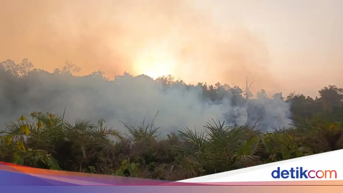 Penanganan Karhutla Tetap Berjalan, Pemerintah Belum Menetapkannya sebagai Bencana Nasional Penanganan Karhutla Tetap Berjalan, Pemerintah Belum Menetapkannya sebagai Bencana Nasional