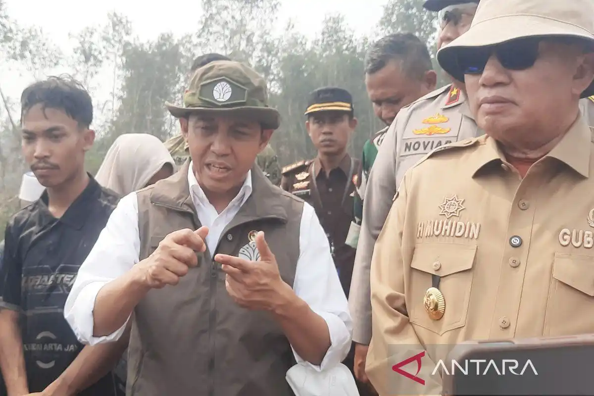 Pemerintah Segera Umumkan Sanksi Baru untuk Perusahaan Terkait Karhutla Pemerintah Segera Umumkan Sanksi Baru untuk Perusahaan Terkait Karhutla