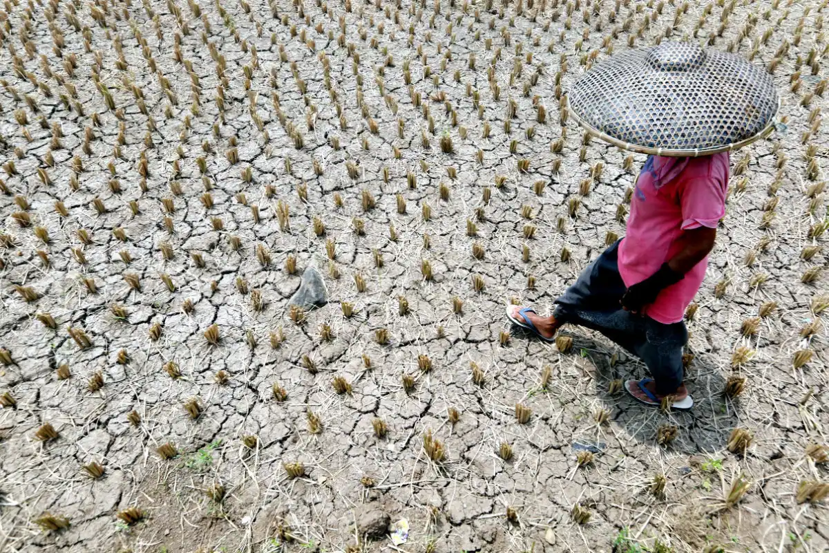 Tujuh Kabupaten di Jawa Tengah Masih Berstatus Awas Kekeringan Meteorologis