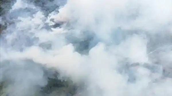 Penanganan Karhutla Mencakup 639,23 Hektare, Tanjung Puting Jadi Titik Terluas