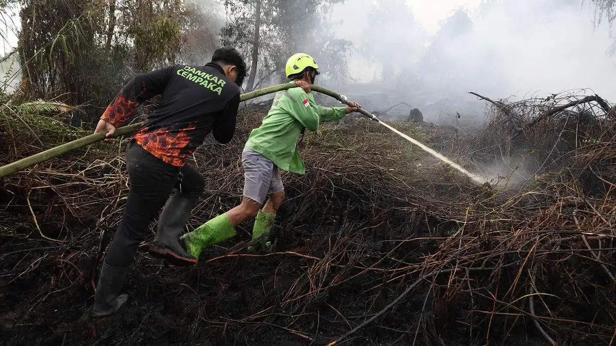 BNPB Catat 639,23 Hektare Lahan Masih Terbakar di Enam Provinsi