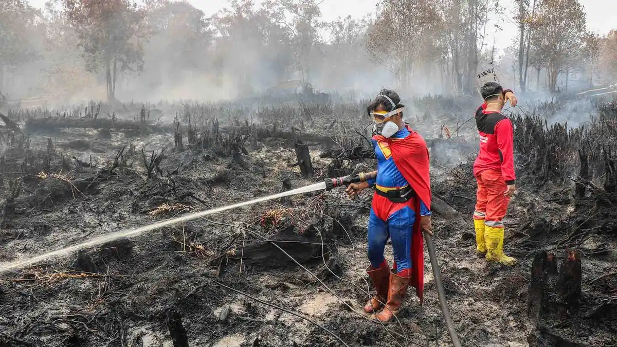 Pemerintah Kerahkan Ribuan Unsur Tangani Karhutla, 68 Konsesi Disegel